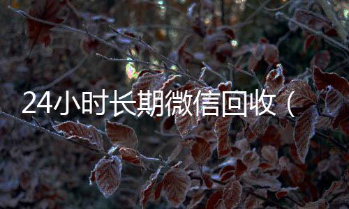 24小时长期微信微信24小时在线回收回收（高价回收微信24小时回收）
