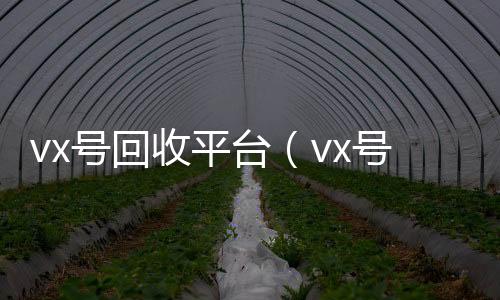 vx号回收平长期高价收购微信号立马结账台（vx号回收平台网）